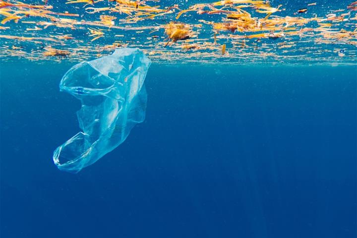 Vivir sin bolsas de plástico: ¿cómo podemos hacerlo?